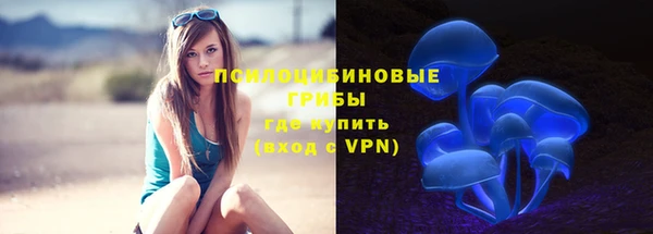 хмурый Алексеевка