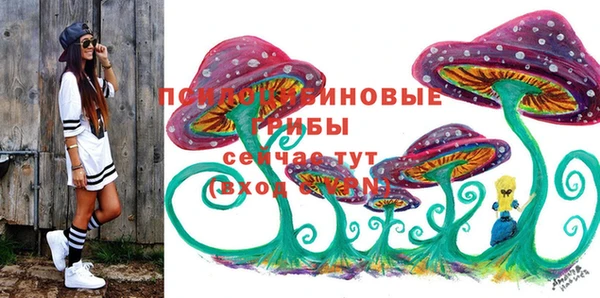хмурый Алексеевка