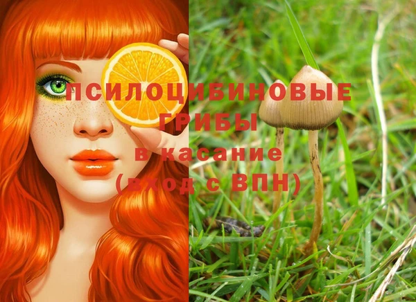 хмурый Алексеевка